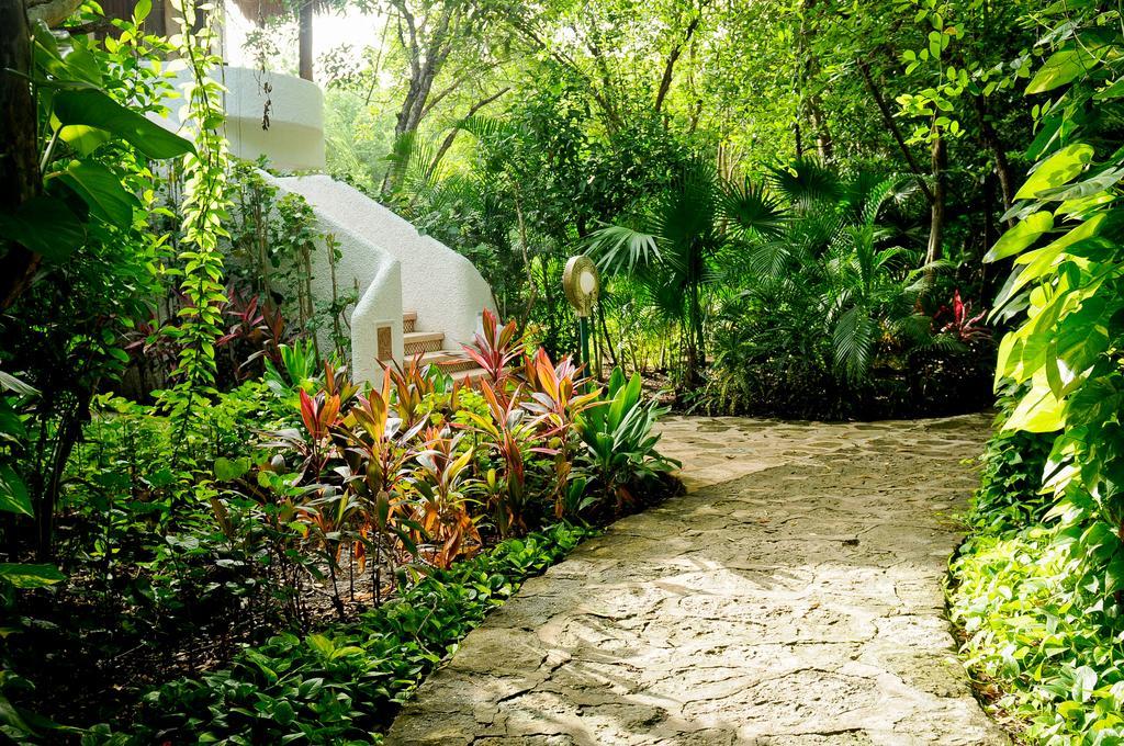 Amarte Maroma Hotel Eco Boutique Spa Punta Maroma Bagian luar foto