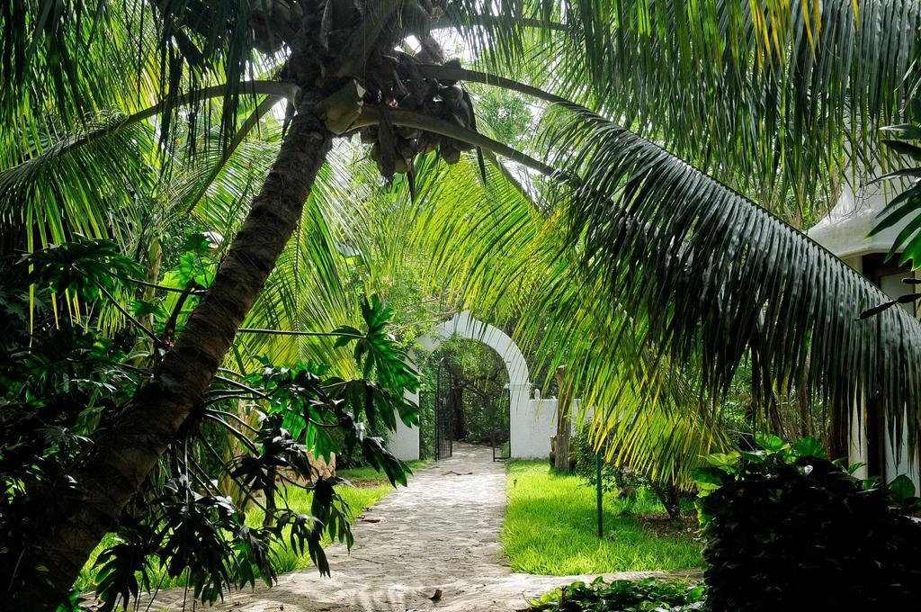 Amarte Maroma Hotel Eco Boutique Spa Punta Maroma Bagian luar foto