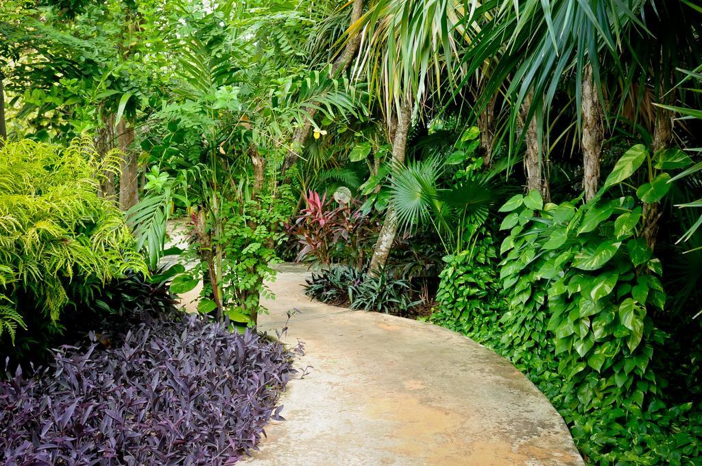 Amarte Maroma Hotel Eco Boutique Spa Punta Maroma Bagian luar foto