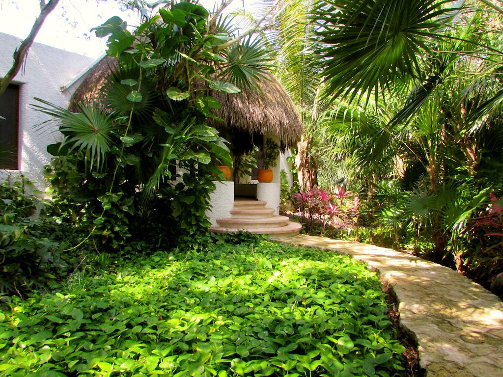 Amarte Maroma Hotel Eco Boutique Spa Punta Maroma Bagian luar foto