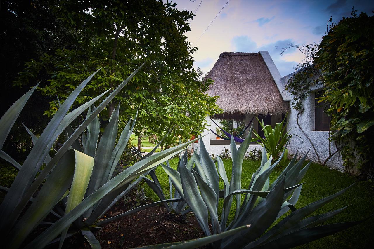Amarte Maroma Hotel Eco Boutique Spa Punta Maroma Bagian luar foto